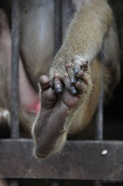 То, что искала моя душа!