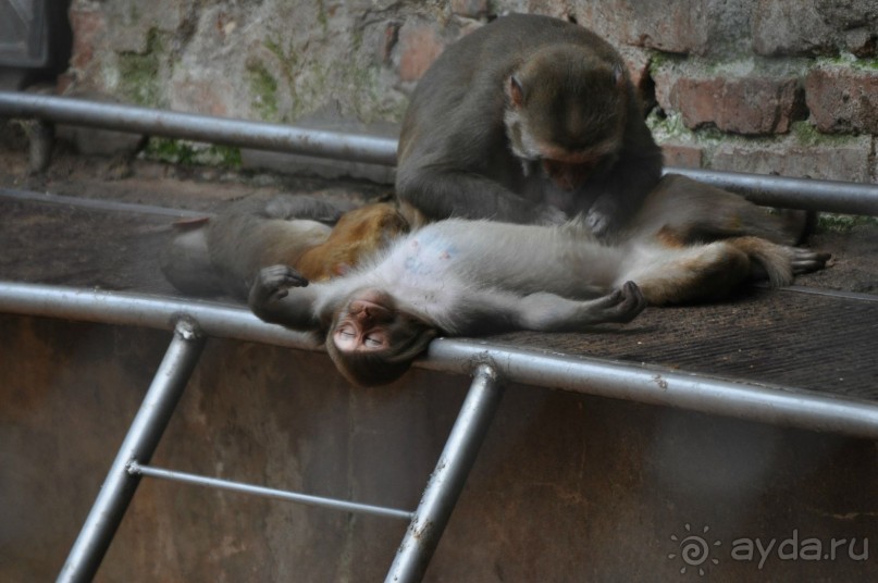 То, что искала моя душа!