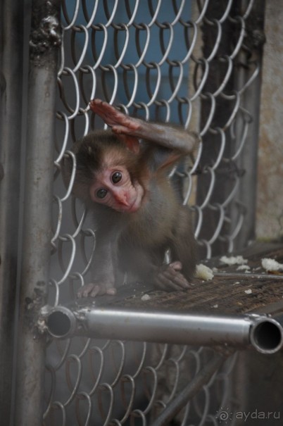 То, что искала моя душа!