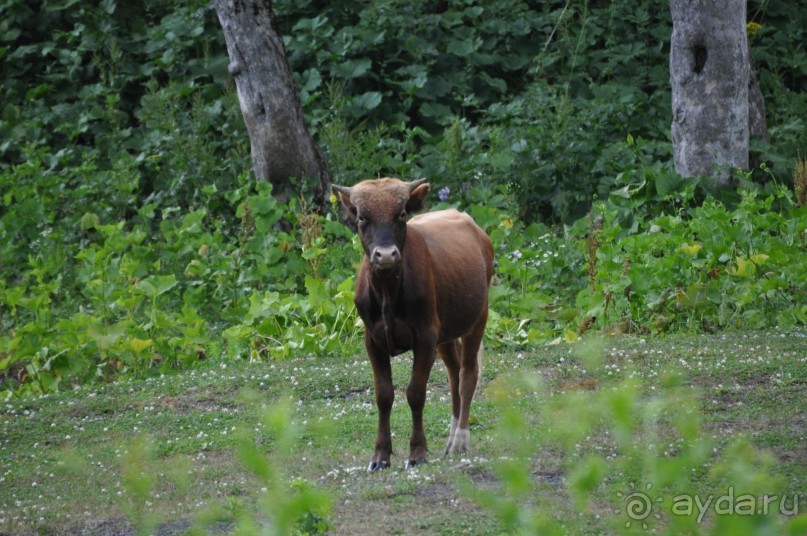 То, что искала моя душа!