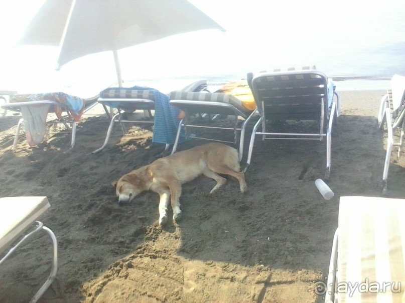 этнический вопрос