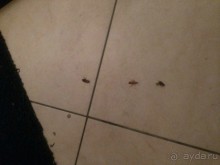 ОТВРАТИТЕЛЬНЫЙ ОТЕЛЬ