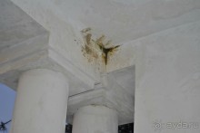 фото Джанхот