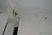 фото Джанхот