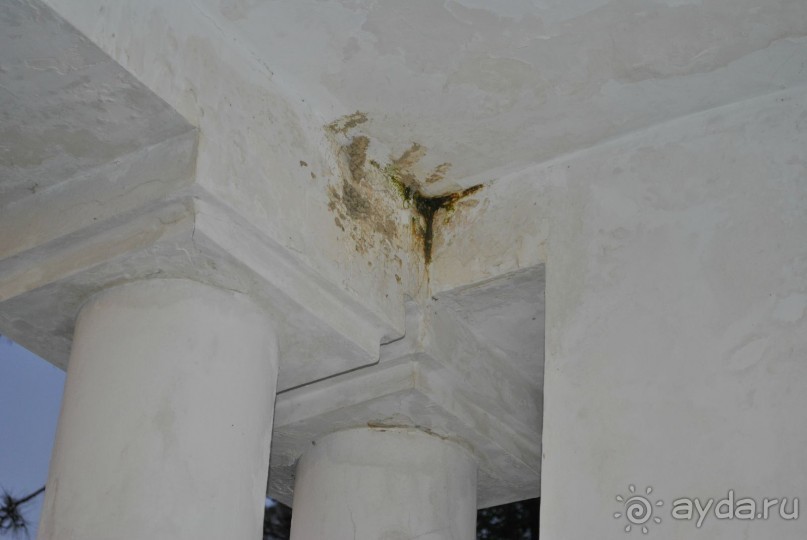 исорченый отпуск