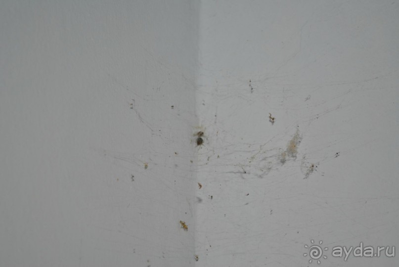 исорченый отпуск