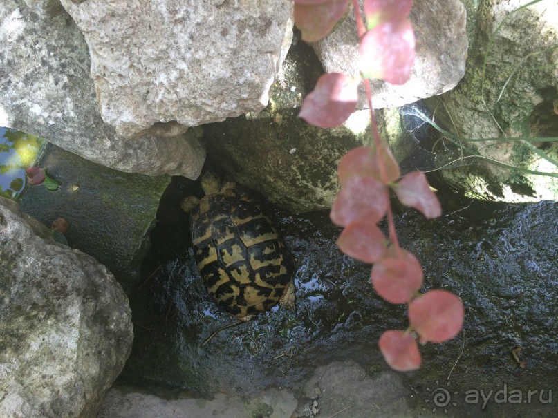 Чудо Греция