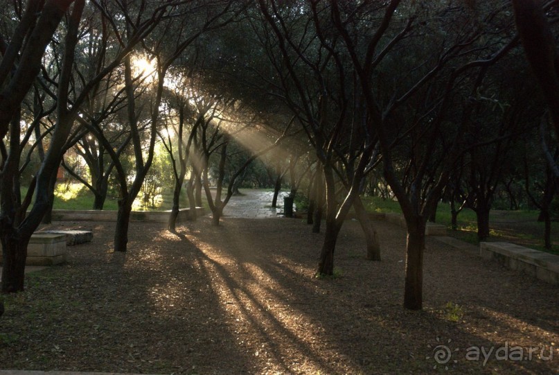 Великолепные Афины (вид сверху)