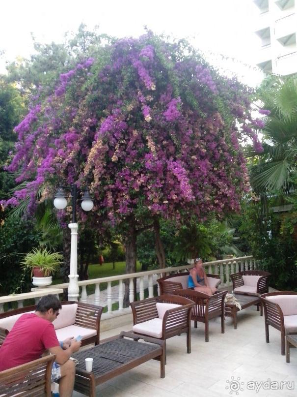 каплан - отстой