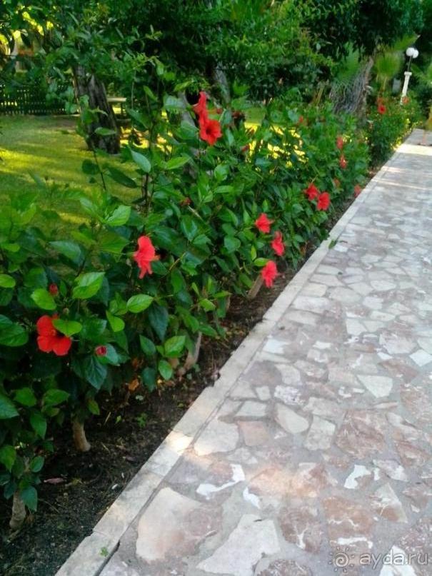 каплан - отстой