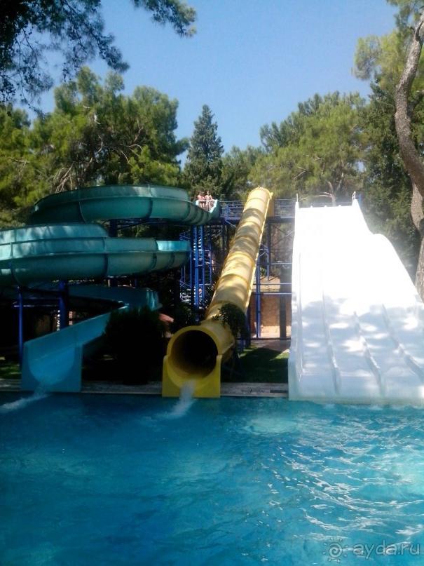 каплан - отстой