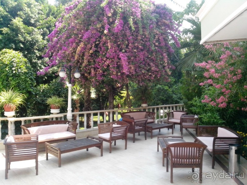 каплан - отстой