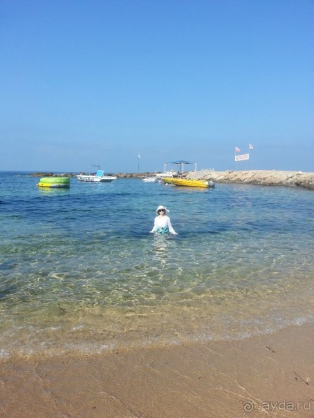 Очень понравилось