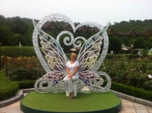 Аллей фей в цветочном уголке