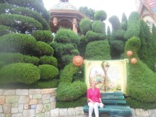 Необыкновенные растения в парке Эверленд.