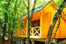 фото Поляна сказок