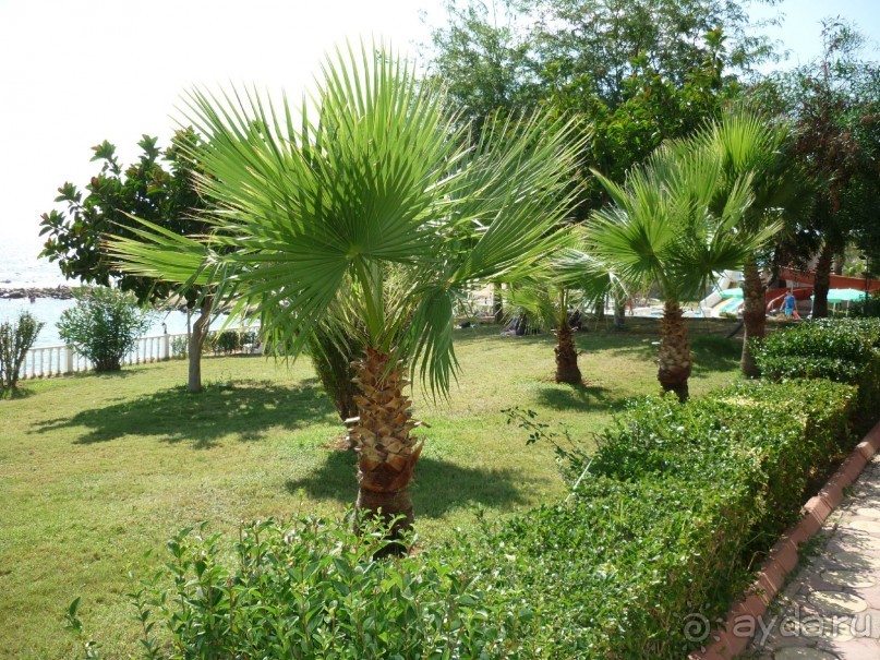 фото Grand Sunlife