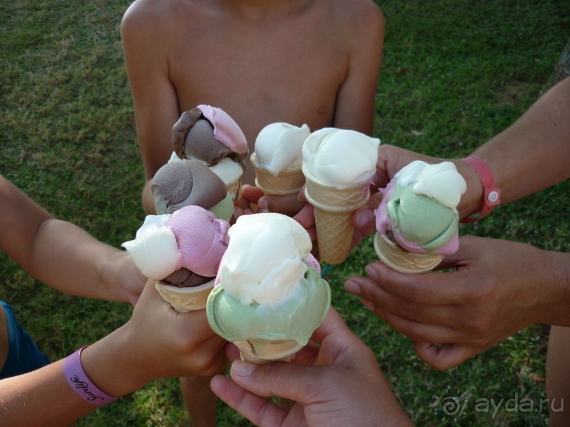 солнечный санлайф