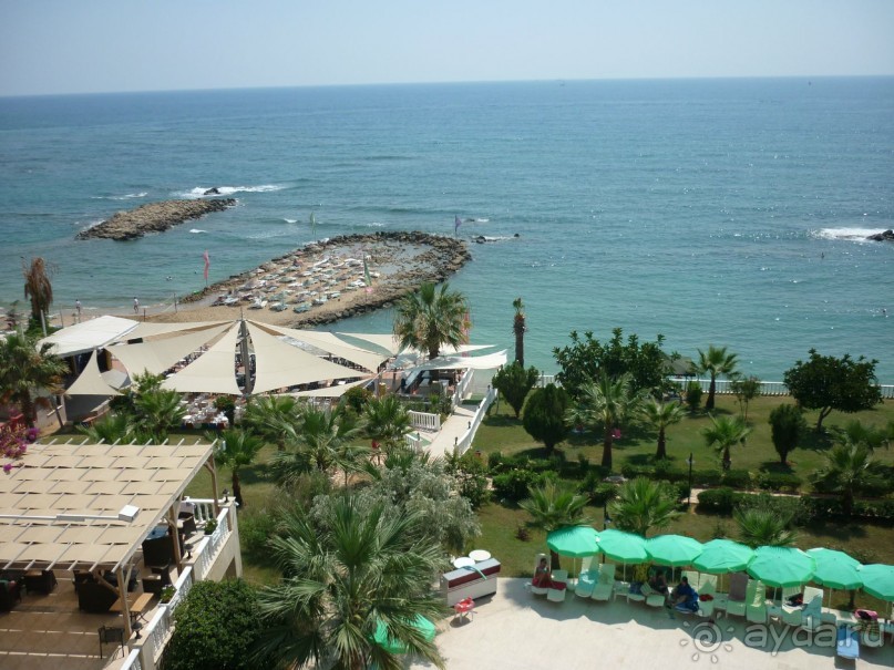 солнечный санлайф