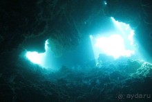 Дайвинг на Бали, июнь 2014