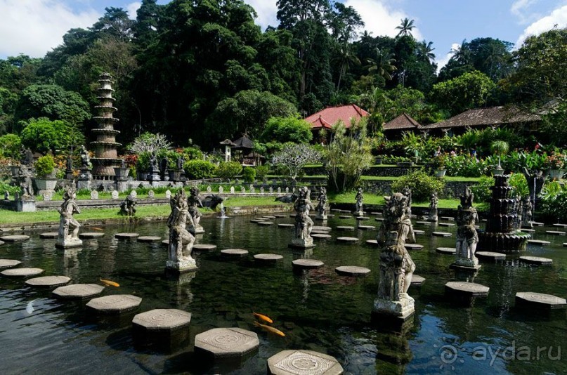 Дайвинг на Бали, июнь 2014