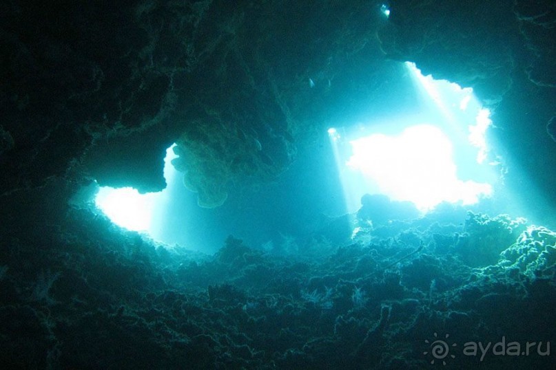 Дайвинг на Бали, июнь 2014