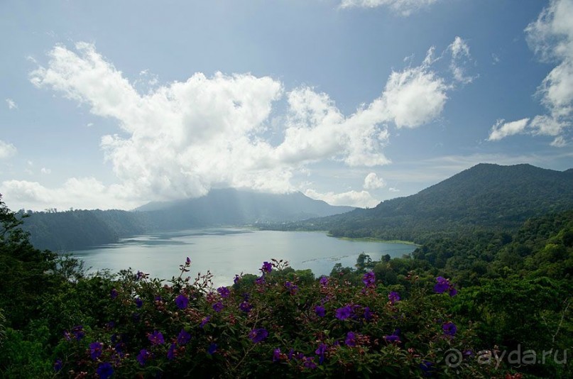 Дайвинг на Бали, июнь 2014