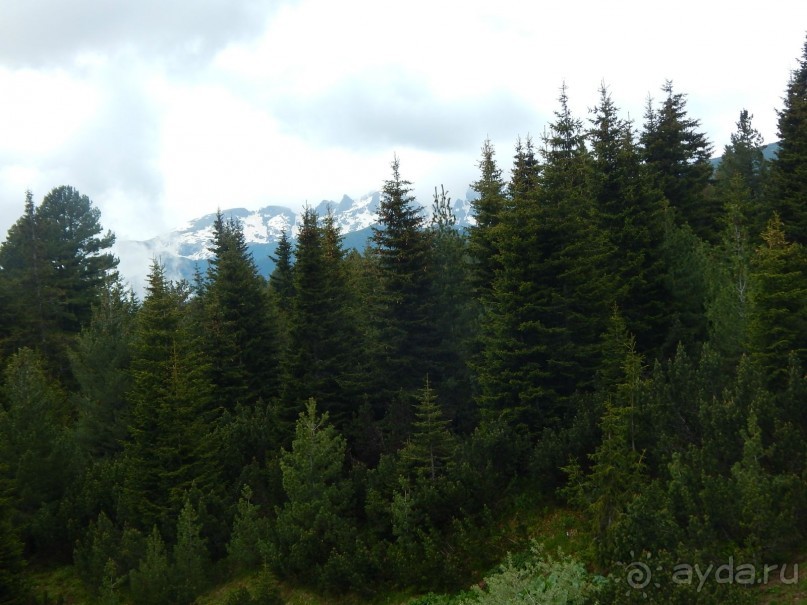 Долгая дорога в Рилы или Семь Рильских Озер