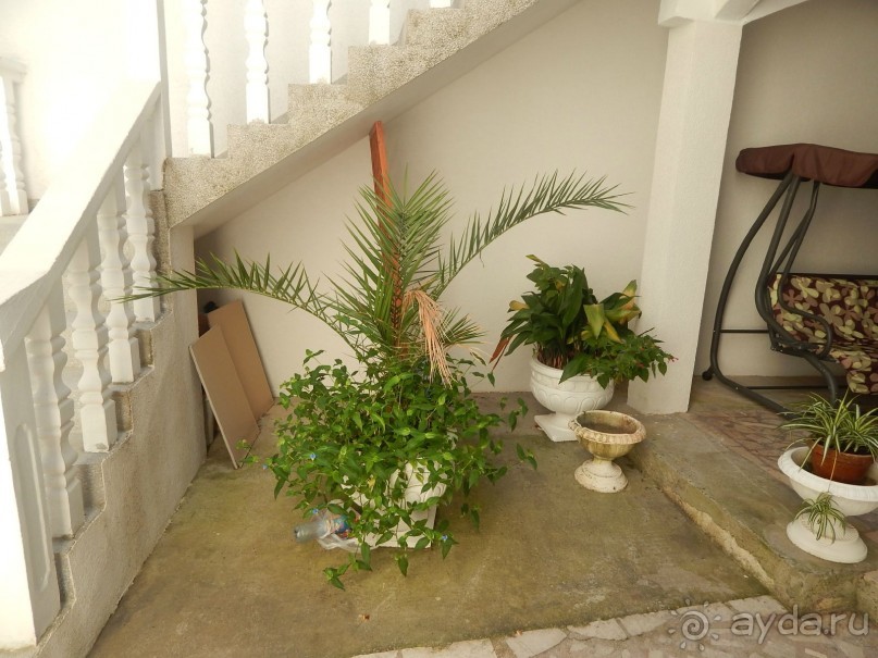 То что ожидали