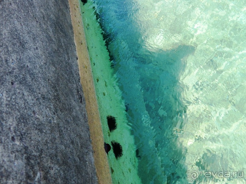 Черногория, Монтенегро, Чрна Гора.