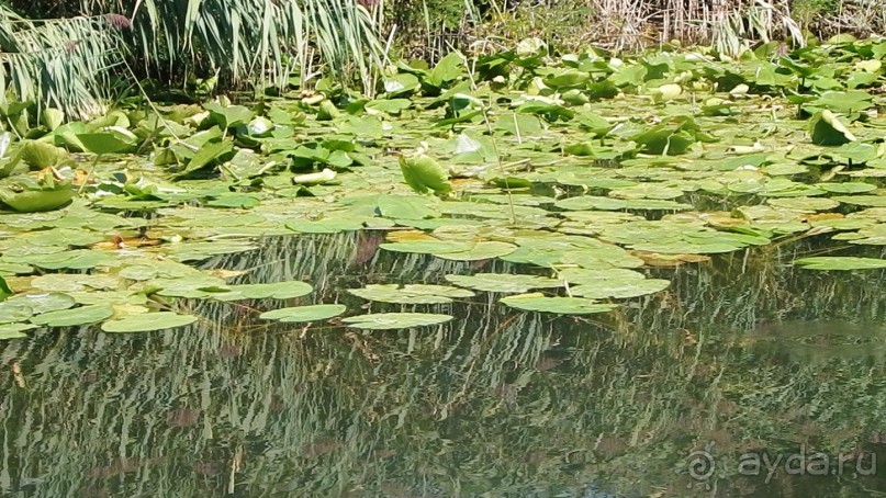 Черногория, Монтенегро, Чрна Гора.