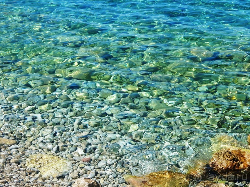 Черногория, Монтенегро, Чрна Гора.