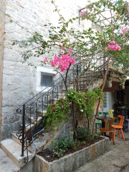 Черногория, Монтенегро, Чрна Гора.