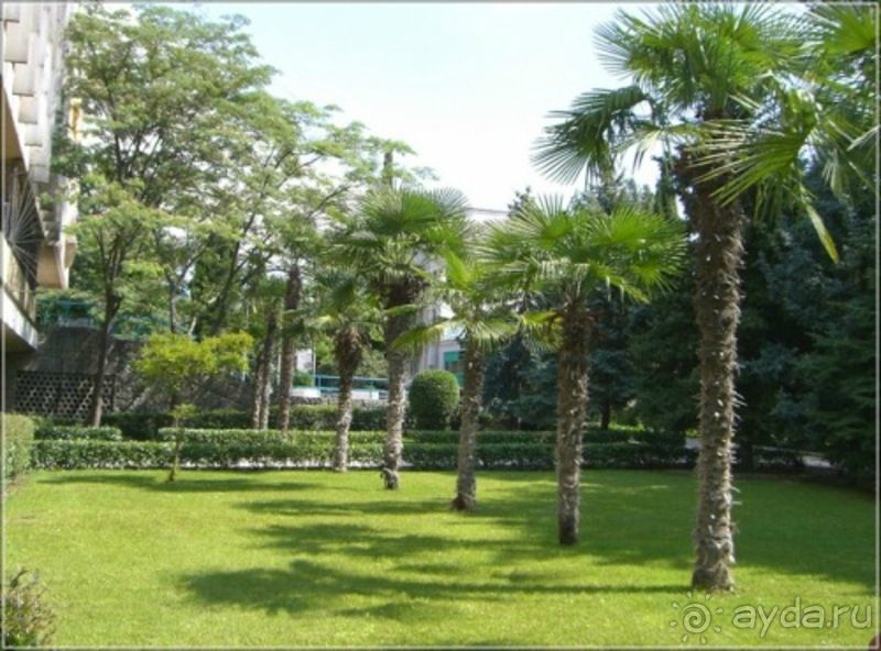 ТОК "Чайка" превосходный и не дорогой  отдых вместе с семьей!