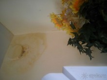 фото Grand Troyka Hotel