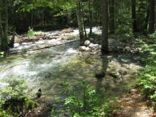 Река Рильска