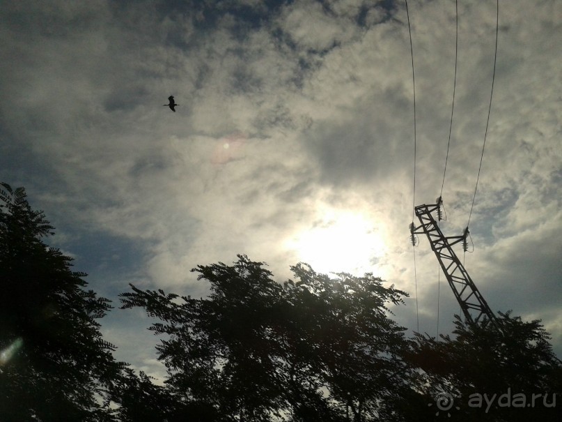 Болгария. Аист провожает нас.