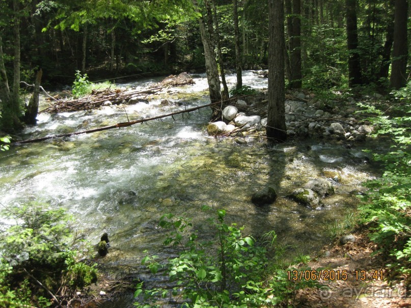 Река Рильска