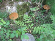 Финляндия 2013