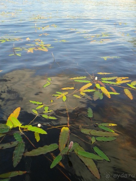 Финляндия 2013