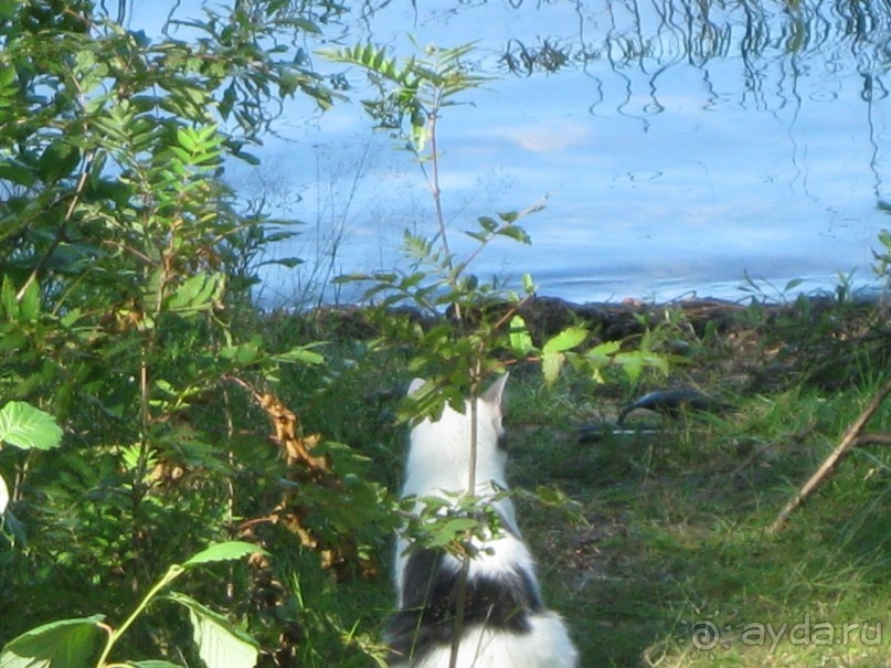 Финляндия 2013