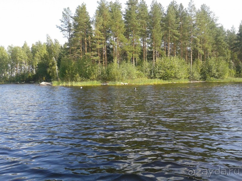 Финляндия 2013