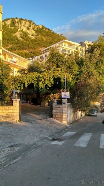 Один вход в два отеля, в том числе Sara lux