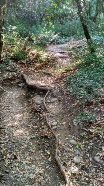 Приятный отдых и отличный отпуск