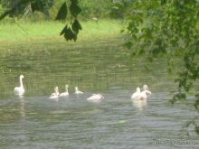 Финляндия 2012