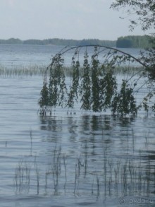 Финляндия 2012