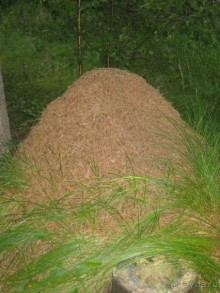 Финляндия 2012