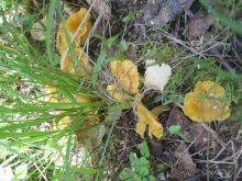 Финляндия 2012