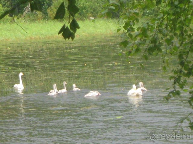 Финляндия 2012