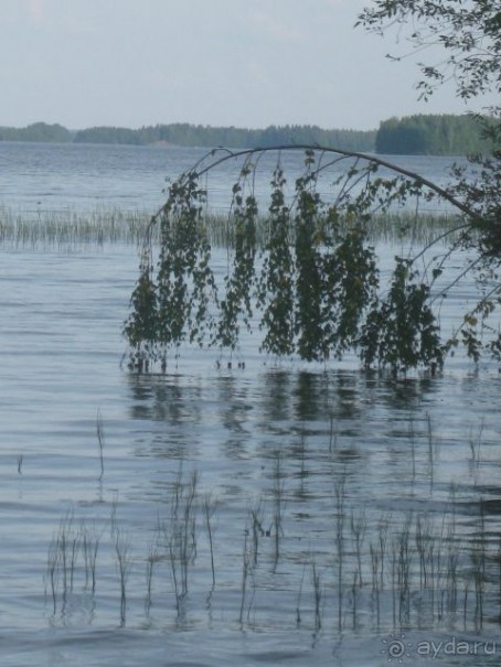 Финляндия 2012